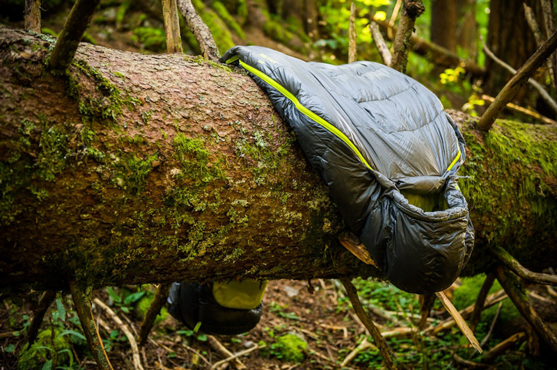 کیسه خواب کوهنوردی روی تنه درخت